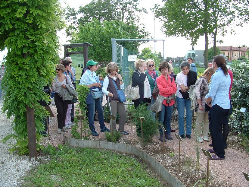 Una parte del 2° gruppo
